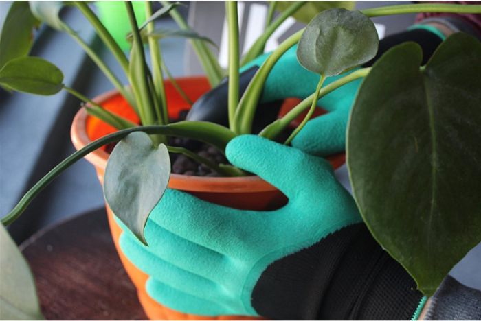 Садовые перчатки Garden Glove