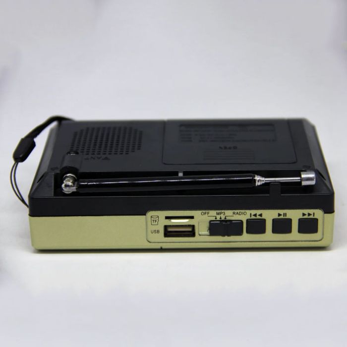 Портативная колонка радио MP3 USB Golon RX-6622. Цвет: золотой